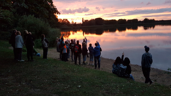 mit der Dämmerung kommen die Fledermäuse Foto: NABU: Madlen Schimkat