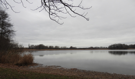 Blick über den Dippelsdorfer Teich Foto: M. Schimkat