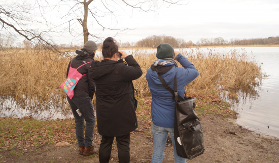 auf dem Dippelsdorfer Teich waren leider kaum Vögel zu sehen Foto: Uwe Stolzenburg