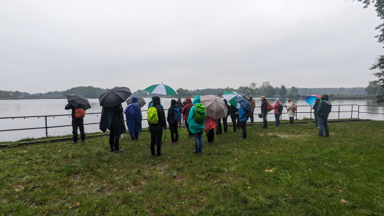 Bei Regen gab es leider nicht viele Vögel auf dem Dippelsdorfer Teich zu sehen. Foto: B. Wipijewski
