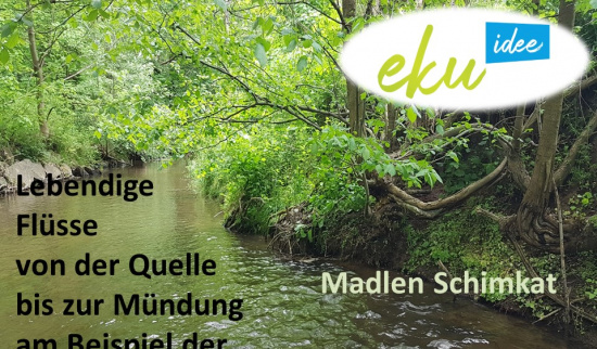 Grafik: Madlen Schimkat