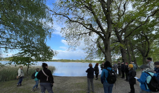 Mit etwas Geduld konnten die Besucher einige spannenden Vogelarten auf und über dem Wasser entdecken. Foto: Lotte Wilking
