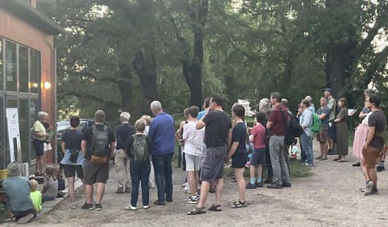Die Batnight startete mit einer Einführung in die Artengruppe der Fledermäuse Foto: J. Schimkat