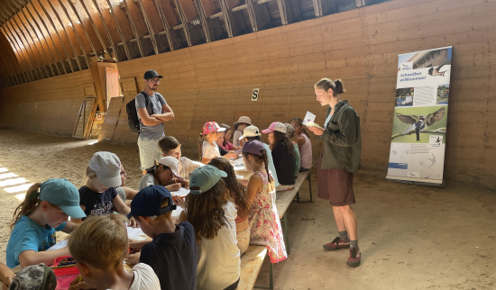 Während des Ausmalens wurde der Geschichte von Rauchschwalbe Clara gelauscht. Foto: Lotte Wilking