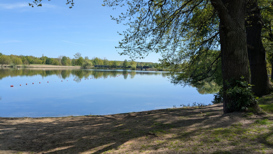 Der Dippelsdorfer Teich am Roten Haus. Foto: Berit Wipijewski