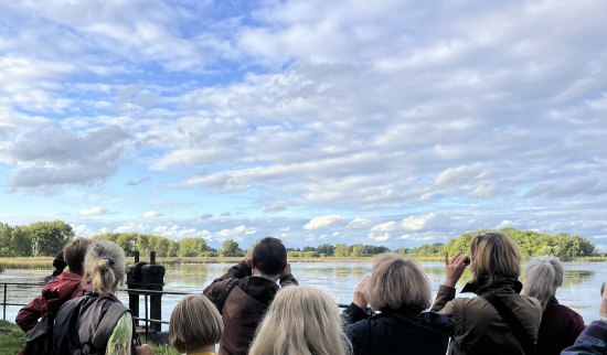 Tipps zu typischen Silhouetten der einzelnen Vogelarten und deren verschiedenen Rufe und Gesänge halfen bei der Bestimmung. Foto: Svea Victoria Mann